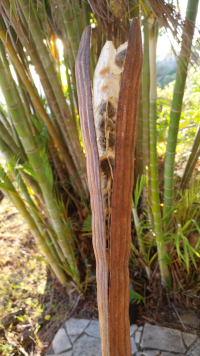 28 novembre 2025 : Les 25 ans de Med'Océan !